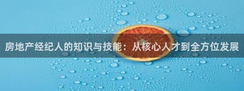 新宝5娱乐同：房地产经纪人的知识与技能：从核心人才到全方位发