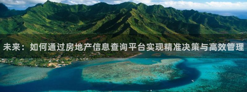 新宝5手机平台登陆：未来：如何通过房地产信息查询平台实现精准