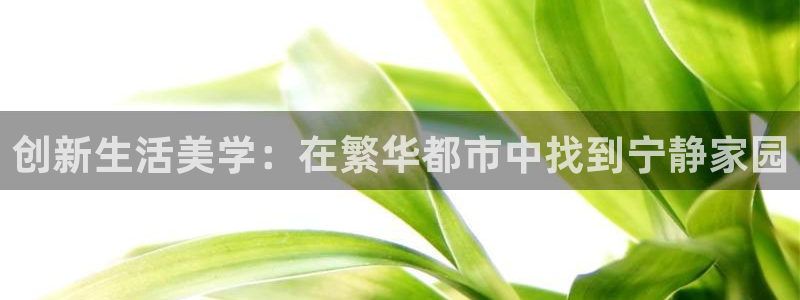 新宝5测速：创新生活美学：在繁华都市中找到宁静家园