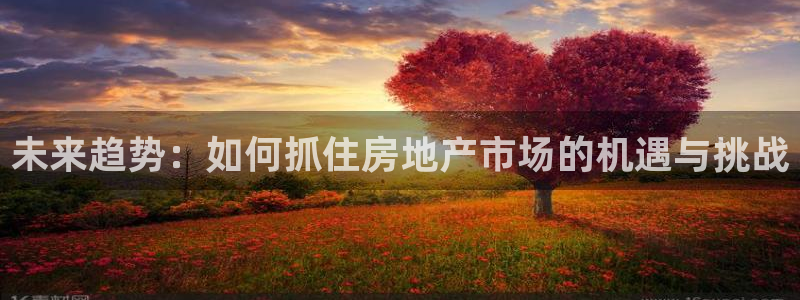 新宝5褚74OOO5：未来趋势：如何抓住房地产市场的机遇与挑