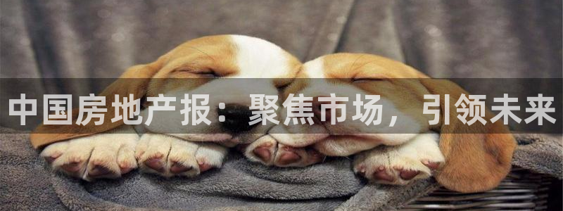 新宝5寻33 300球：中国房地产报：聚焦市场，引领未来