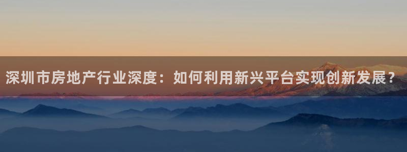 新宝5是谁：深圳市房地产行业深度：如何利用新兴平台实现创新发