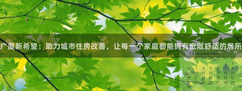 新宝xb5：广厦新希望：助力城市住房改善，让每一个家庭都能拥