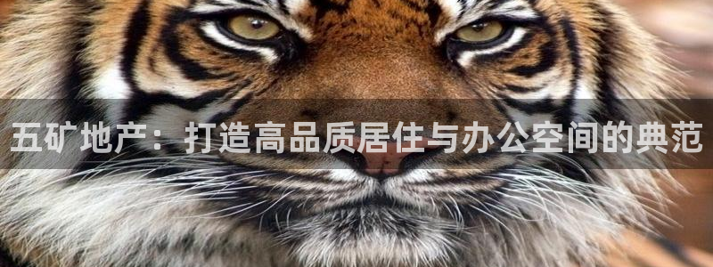 新宝5登录：五矿地产：打造高品质居住与办公空间的典范