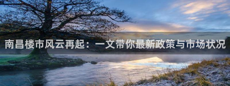 新宝5平台注册公司：南昌楼市风云再起：一文带你最新政策与市场