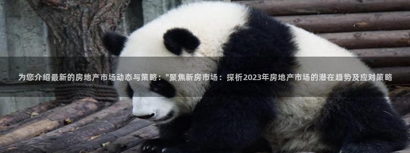 新宝5开户：为您介绍最新的房地产市场动态与策略：\