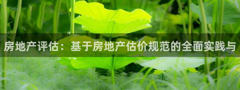 新宝5链接：房地产评估：基于房地产估价规范的全面实践与
