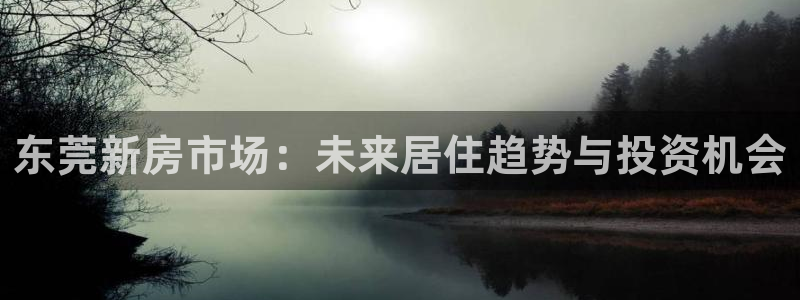 新宝5注册链接：东莞新房市场：未来居住趋势与投资机会