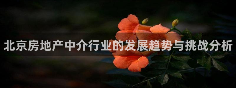 新宝5登录注册：北京房地产中介行业的发展趋势与挑战分析