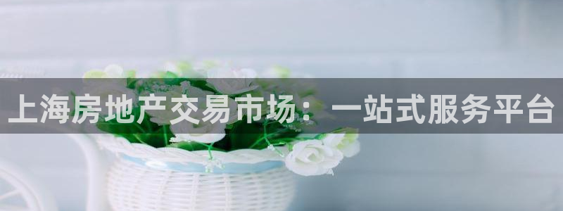 新宝5怎么下载到桌面：上海房地产交易市场：一站式服务平台