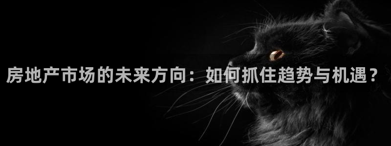 新宝5线路：房地产市场的未来方向：如何抓住趋势与机遇？