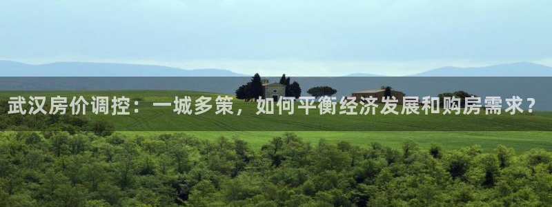 新宝5是什么
