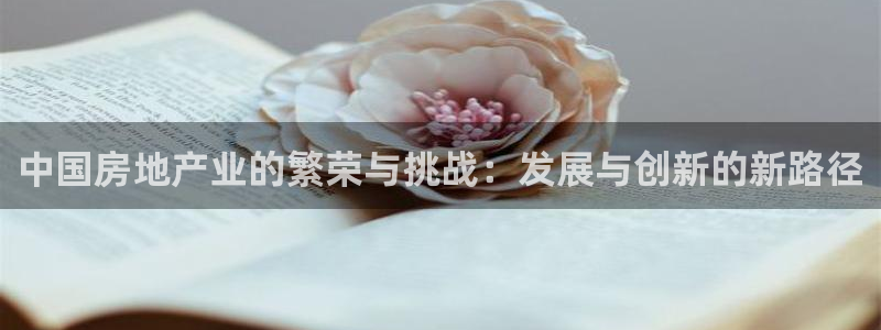 新宝5怎么下载到桌面：中国房地产业的繁荣与挑战：发展与创新的