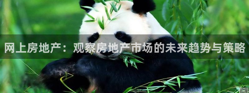 新宝5下载网址：网上房地产：观察房地产市场的未来趋势与策略