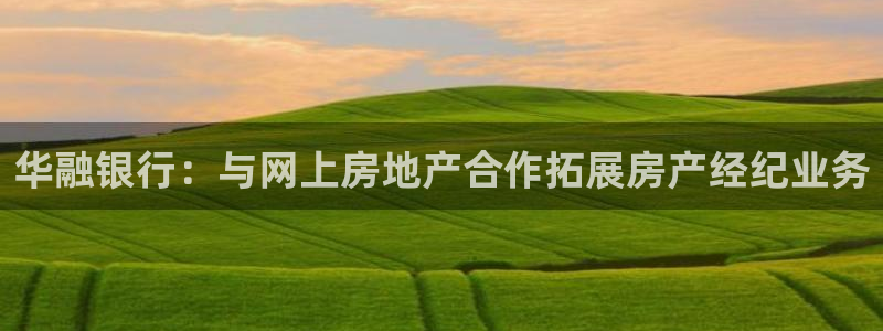 新宝5招商部：华融银行：与网上房地产合作拓展房产经纪业务