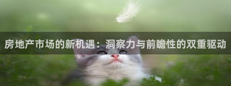 老新宝5授权登录：房地产市场的新机遇：洞察力与前瞻性的双重驱