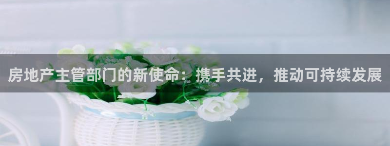 新宝5测登录：房地产主管部门的新使命：携手共进，推动可持续发
