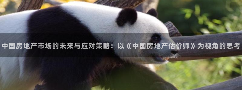 新宝5官方网站：中国房地产市场的未来与应对策略：以《中国房地
