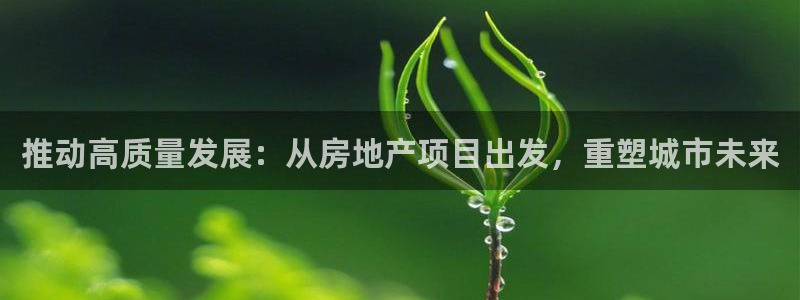新宝5招商：推动高质量发展：从房地产项目出发，重塑城市未来