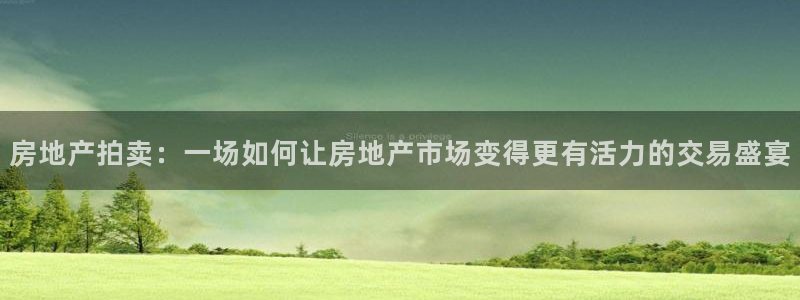 新宝5如何注册登录：房地产拍卖：一场如何让房地产市场变得更有