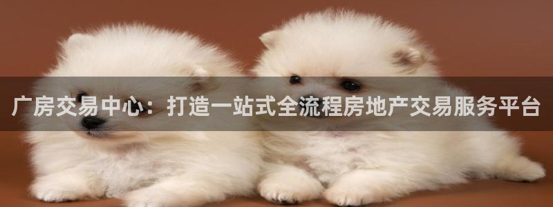 新宝5平台注册：广房交易中心：打造一站式全流程房地产交易服务