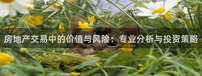 新宝5代理：房地产交易中的价值与风险：专业分析与投资策略
