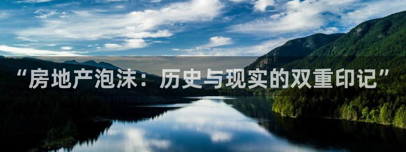 新宝5 代理：“房地产泡沫：历史与现实的双重印记”