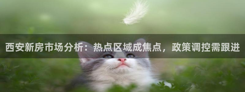 新宝速5：西安新房市场分析：热点区域成焦点，政策调控需跟进