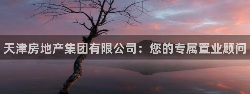 新宝5源码：天津房地产集团有限公司：您的专属置业顾问