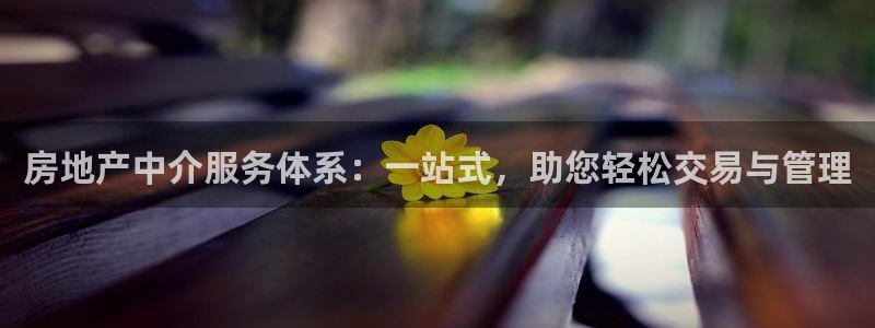 新宝5平台注册：房地产中介服务体系：一站式，助您轻松交易与管