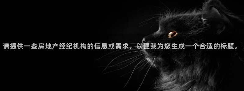 新宝5网：请提供一些房地产经纪机构的信息或需求，以便我为您生