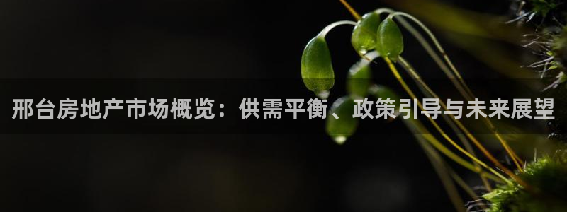 新宝5是谁：邢台房地产市场概览：供需平衡、政策引导与未来展望
