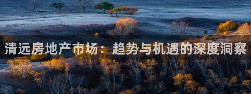 新宝3得74OO5：清远房地产市场：趋势与机遇的深度洞察