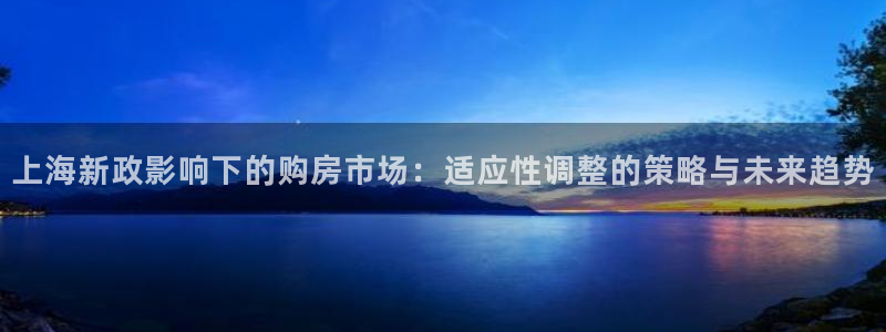 新宝5公司