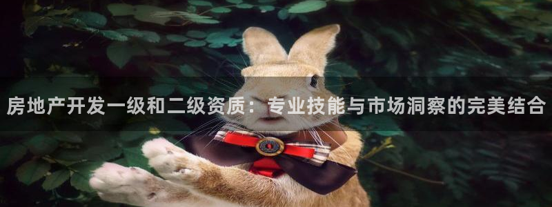 新宝5娱乐登陆：房地产开发一级和二级资质：专业技能与市场洞察