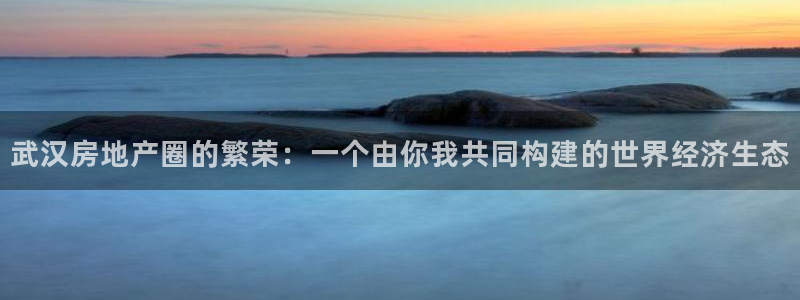 新宝5娱乐：武汉房地产圈的繁荣：一个由你我共同构建的世界经济