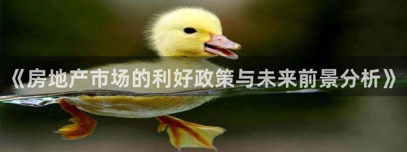 新宝5如何注册登录：《房地产市场的利好政策与未来前景分析》