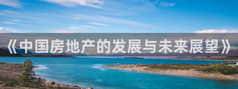 新宝股东瞧听2 5 5：《中国房地产的发展与未来展望》