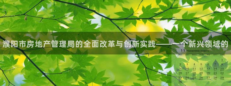 新宝5日