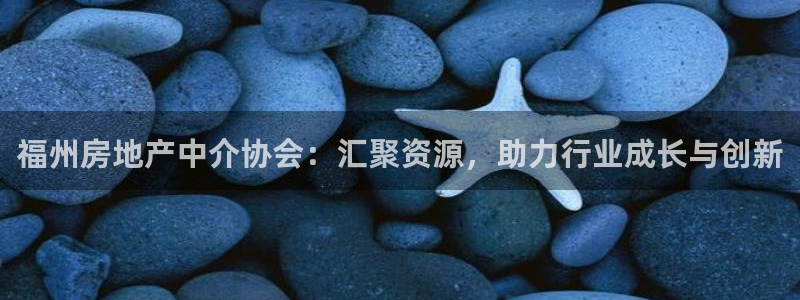 新宝5如何注册：福州房地产中介协会：汇聚资源，助力行业成长与