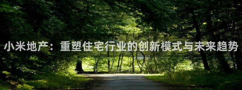 新宝5如何注册：小米地产：重塑住宅行业的创新模式与未来趋势