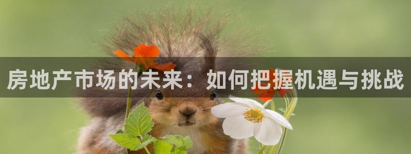 新宝5导师：房地产市场的未来：如何把握机遇与挑战