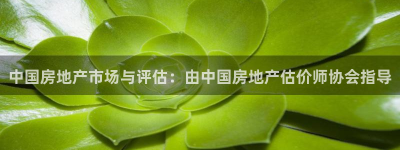新宝5上来77542：中国房地产市场与评估：由中国房地产估价