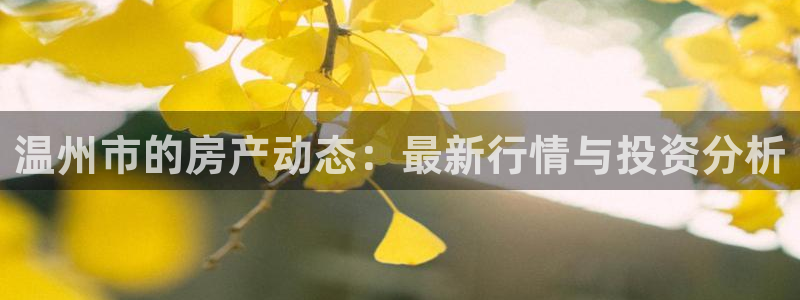 新宝5招商部：温州市的房产动态：最新行情与投资分析
