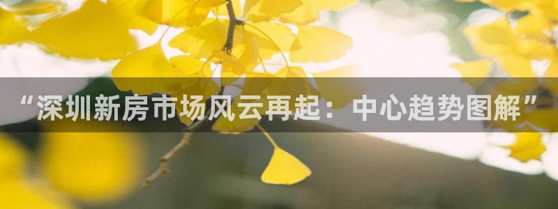 新宝5彩票平台登陆