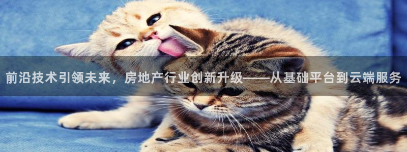 新宝5王问74OOO5：前沿技术引领未来，房地产行业创新升级