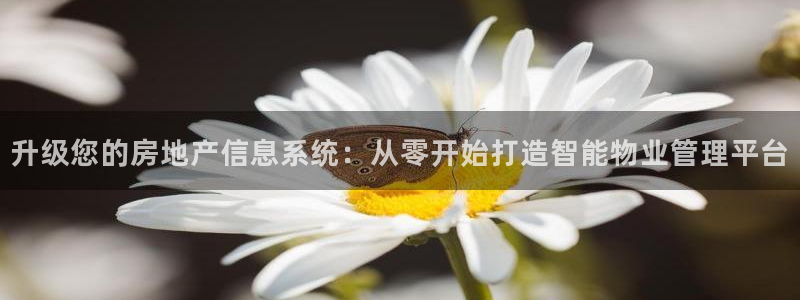 新宝5下载：升级您的房地产信息系统：从零开始打造智能物业管理