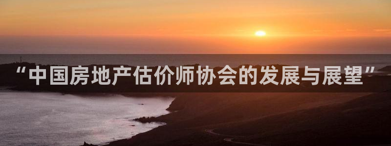 新宝5黑彩：“中国房地产估价师协会的发展与展望”