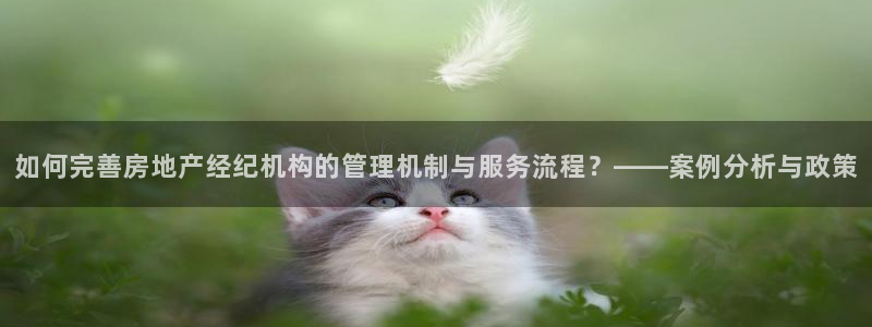 新宝5彩票平台登陆：如何完善房地产经纪机构的管理机制与服务流