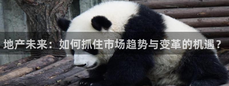 新宝5总代：地产未来：如何抓住市场趋势与变革的机遇？